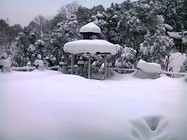 ดัลเฮาส์ไฮท์ Hotel ดัลเฮาซี ภายนอก รูปภาพ